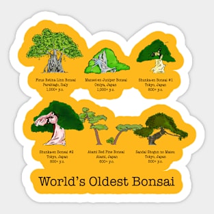 World’s Oldest Bonsai Sticker